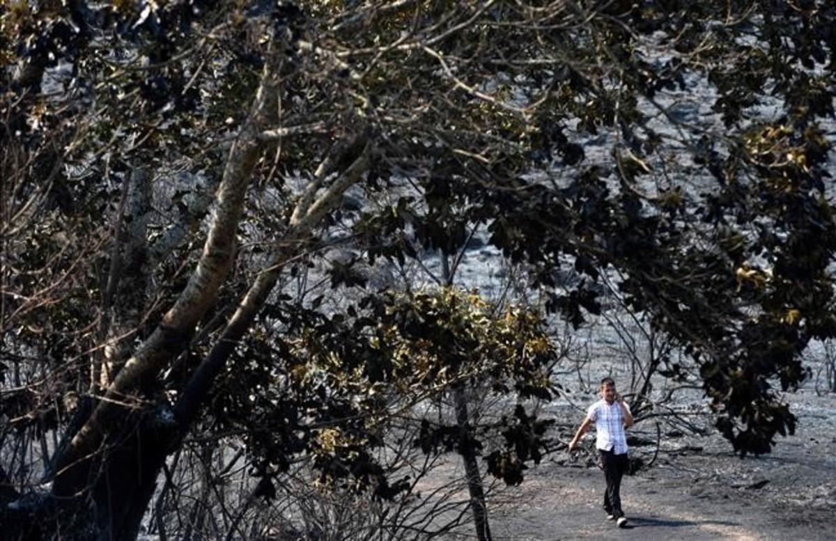 abertran35114992 a man walks by a burnt area close to the village of espino 160814184709 abertran35114992 a man walks by a burnt area close to the village of espino 160814184709