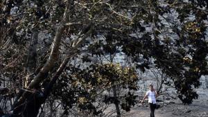 abertran35114992 a man walks by a burnt area close to the village of espino  160814184709