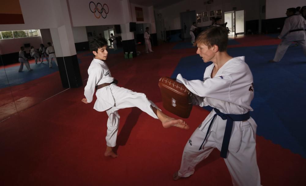 Taekwondo, club Élite