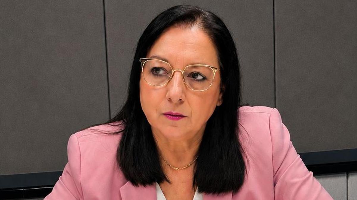 La presidenta provincial de Vox en Castellón, Llanos Massó.