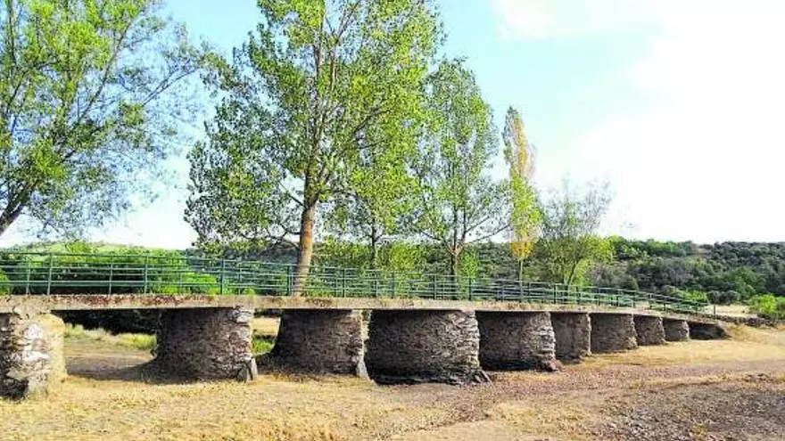 Ganado sin agua y huertos secos: Aliste afronta una sequía histórica