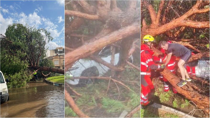 Vídeo: Milagro en Nules, un hombre sale de su coche por su propio pie tras caerle un árbol encima