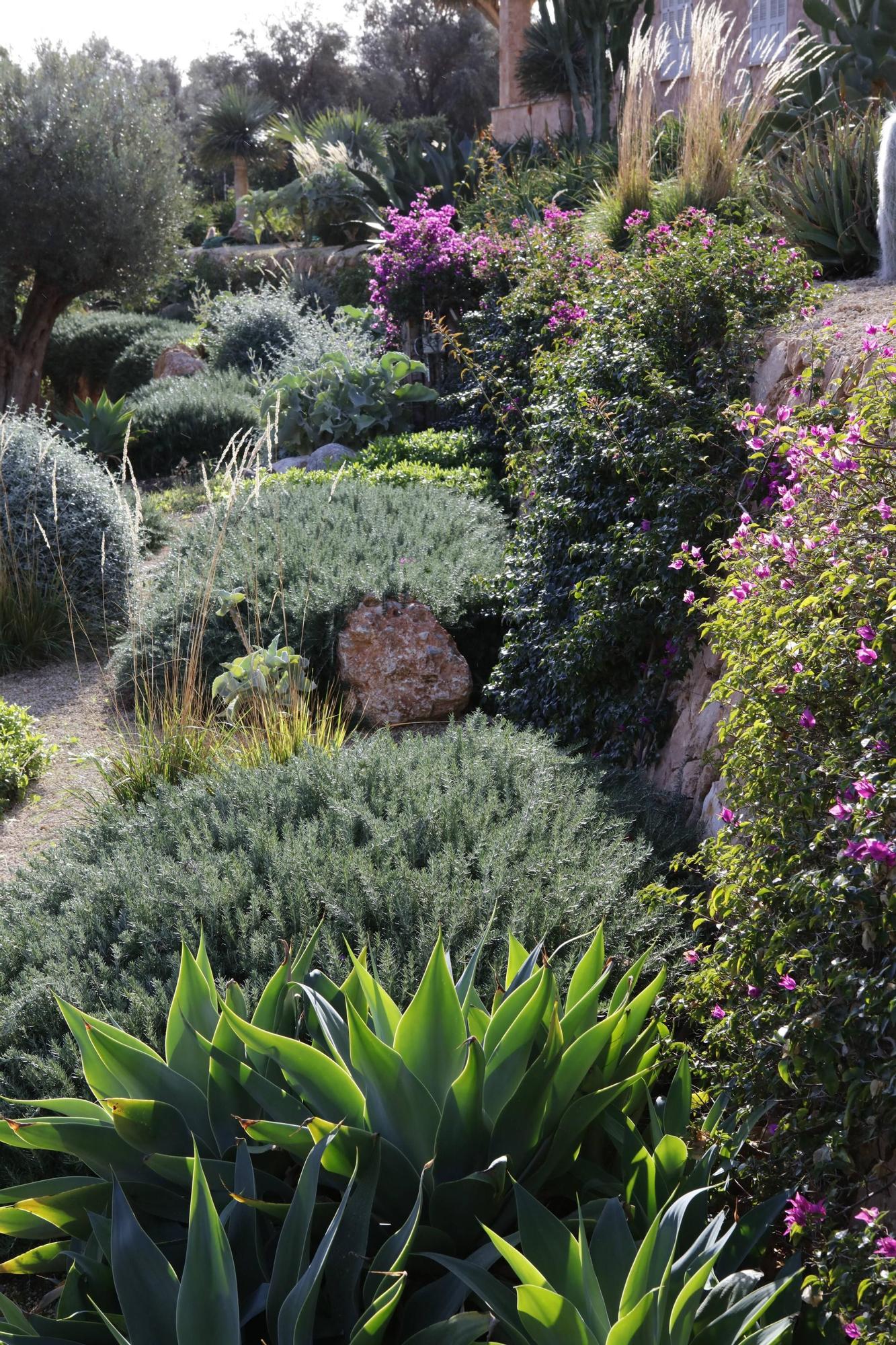 Ein Garten auf Mallorca ganz in Öko