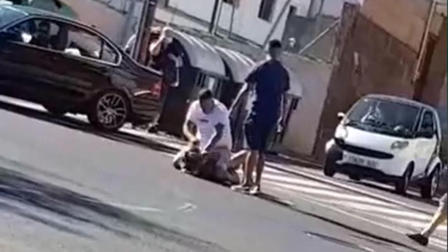 Peleas en Canarias | Varios jóvenes canarios protagonizan una dantesca pelea en mitad de la carretera