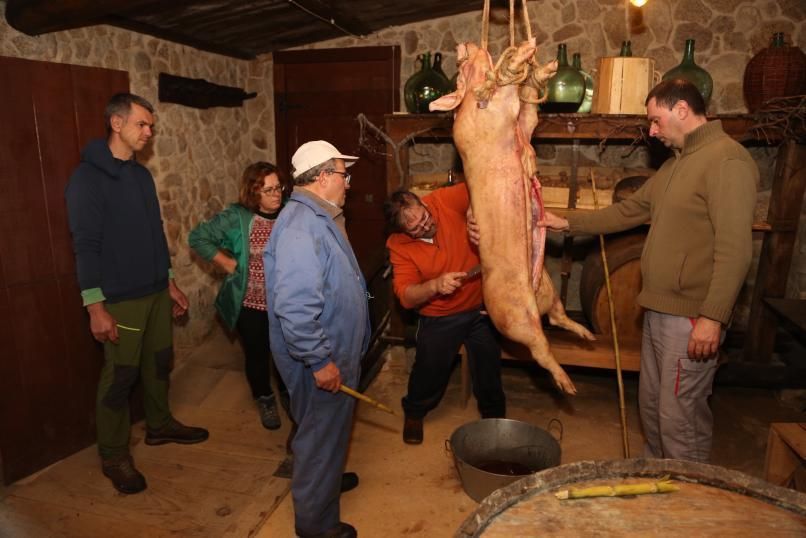 El proceso de la matanza en el centro de interpretación O Quinteiro de Temperán, en San Vicente. 