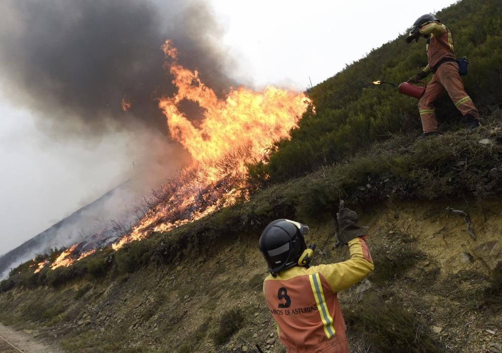 El suroccidente asturiano lucha contra las llamas