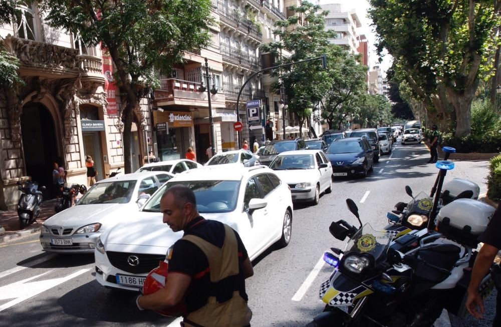 Cae una palmera en Marqués del Túria, en Valencia.