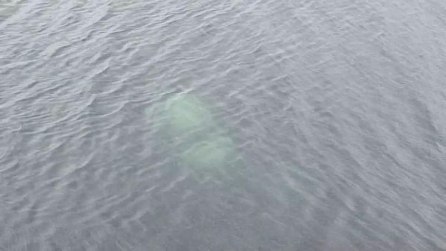 Herido un hombre tras precipitarse al mar con su coche desde el Ponte das Pías  en Ferrol