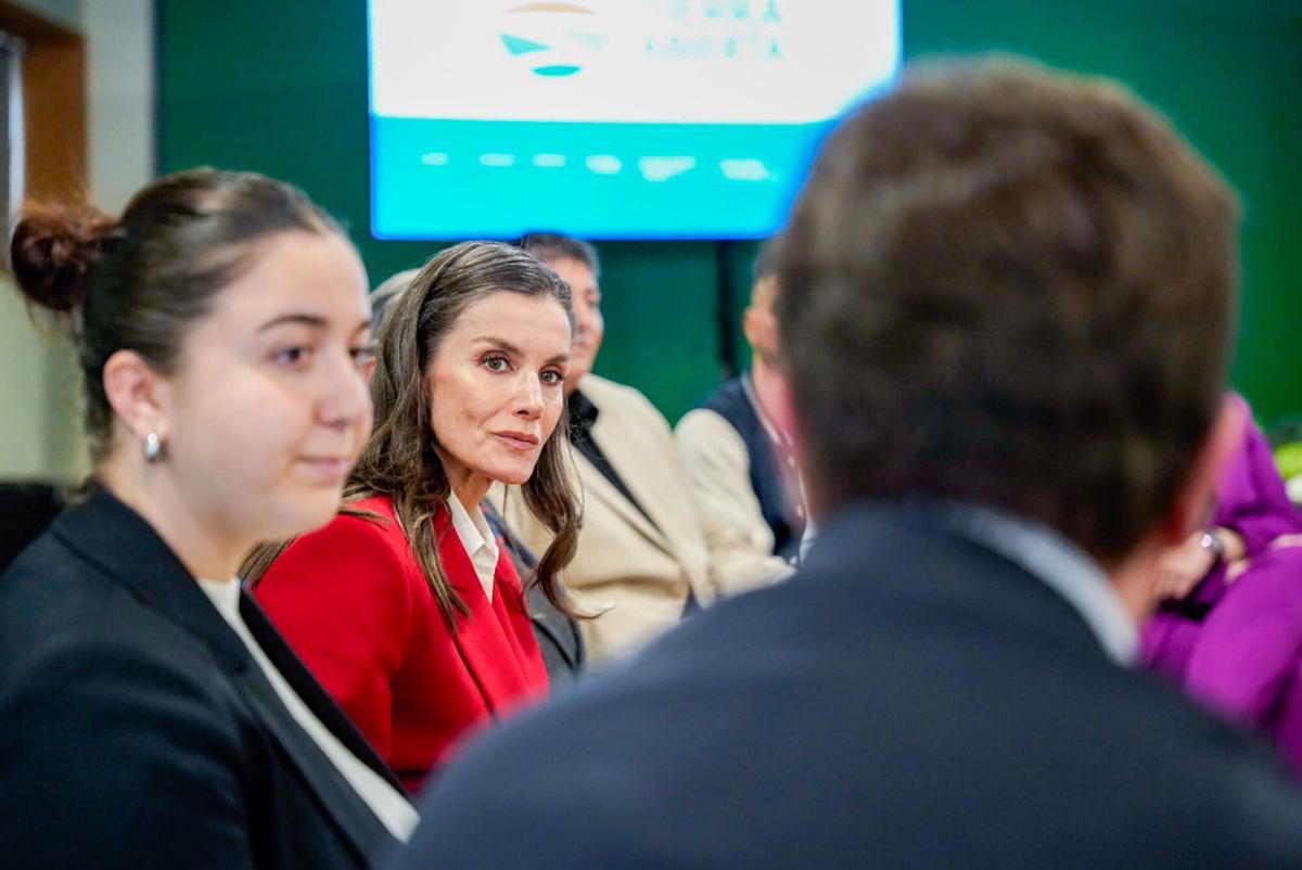La Reina Letizia preside una reunión durante la visita a los invernaderos por el 50 aniversario de la Estación Experimental Cajamar Las Palmerillas. A 10 de marzo de 2026 en El Elejido, Almería (Andalucía, España). La Reina Letizia ha visitado la Estación Experimental Cajamar Las Palmerillas con motivo de su 50 aniversario. El acto contó con la presencia del presidente de la Diputación Provincial de Almería, José Antonio García Alcaina, junto a otras autoridades y representantes de Cajamar. Durante la visita se destacaron los avances en innovación agrícola, sostenibilidad y biotecnología del centro. 10 MARZO 2026 Marian León / Europa Press 10/03/2026. Reina Letizia;;Marian León;category_code_new