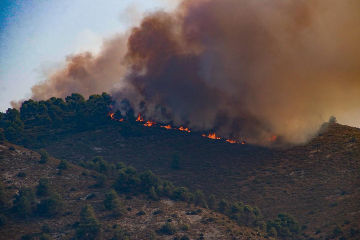 El fuego devorando la montaña en las proximidades de Benimassot el pasado 17 de agosto.