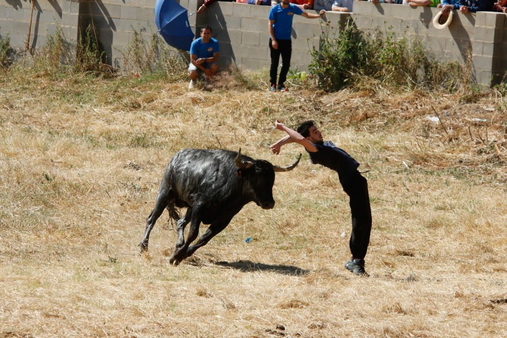 Espantes de Guarrate