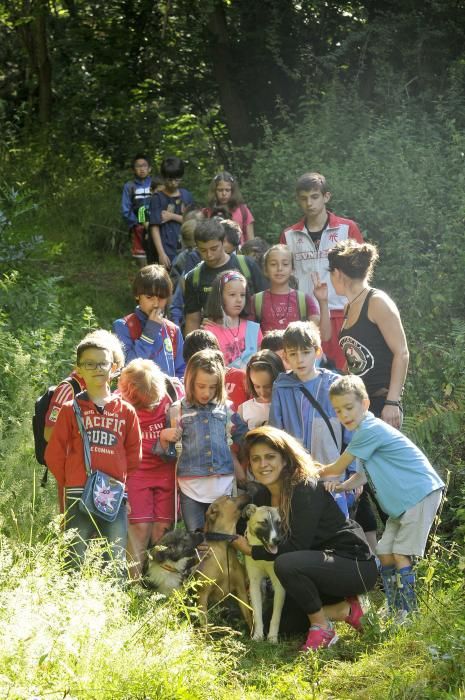 Visita de escolares a la protectora 'El Trasgu' en Mieres