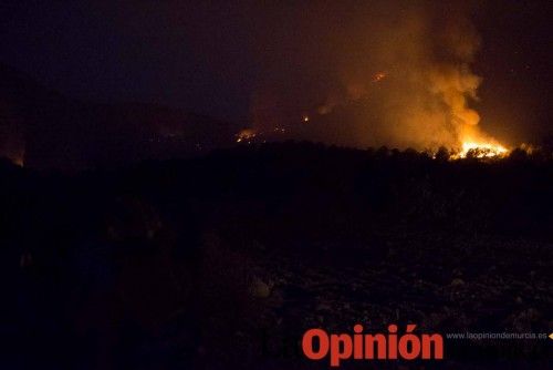 Incendio en la Zarcilla de Ramos