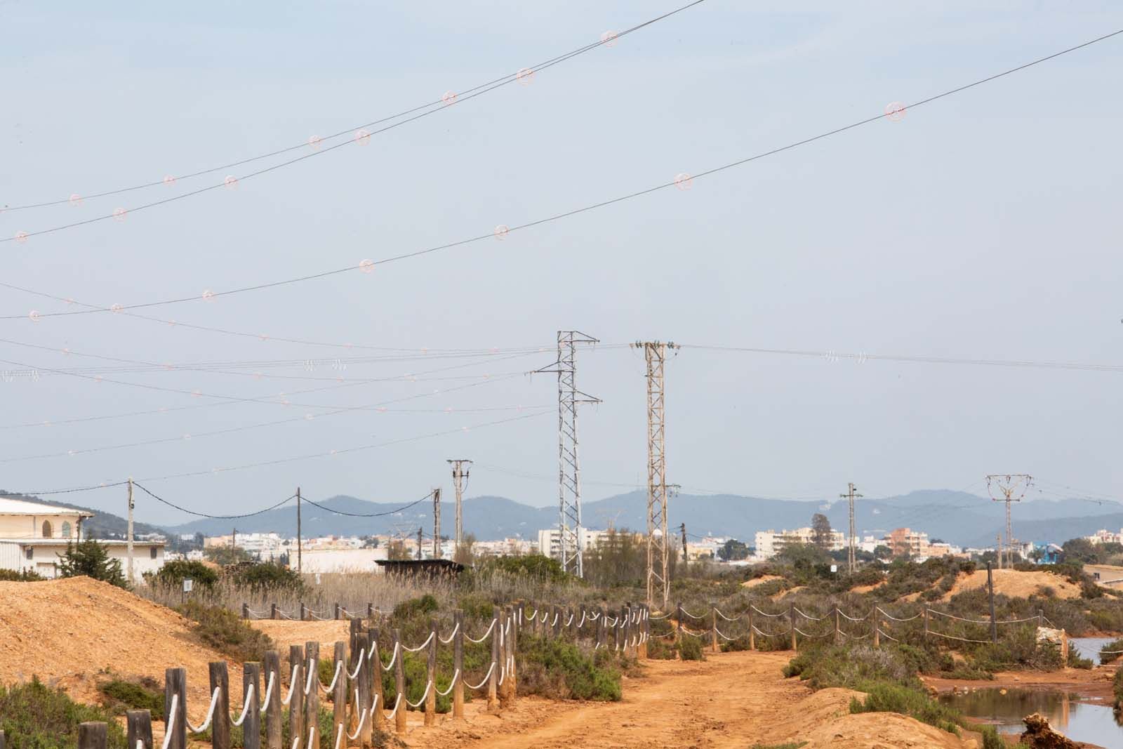 Los tendidos mortales para los flamencos en ses Salines de Ibiza tenían que estar enterrados desde 2009