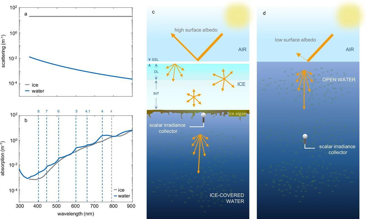 Diferencias entre la existencia de hielo o no en el mar a efectos lumínicos