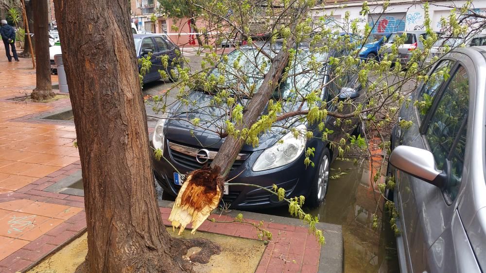 El temporal de lluvia causa estragos en Murcia