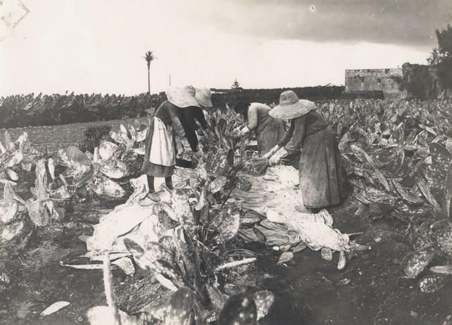 La mujer, fundamental en la cultura tradicional de Gran Canaria