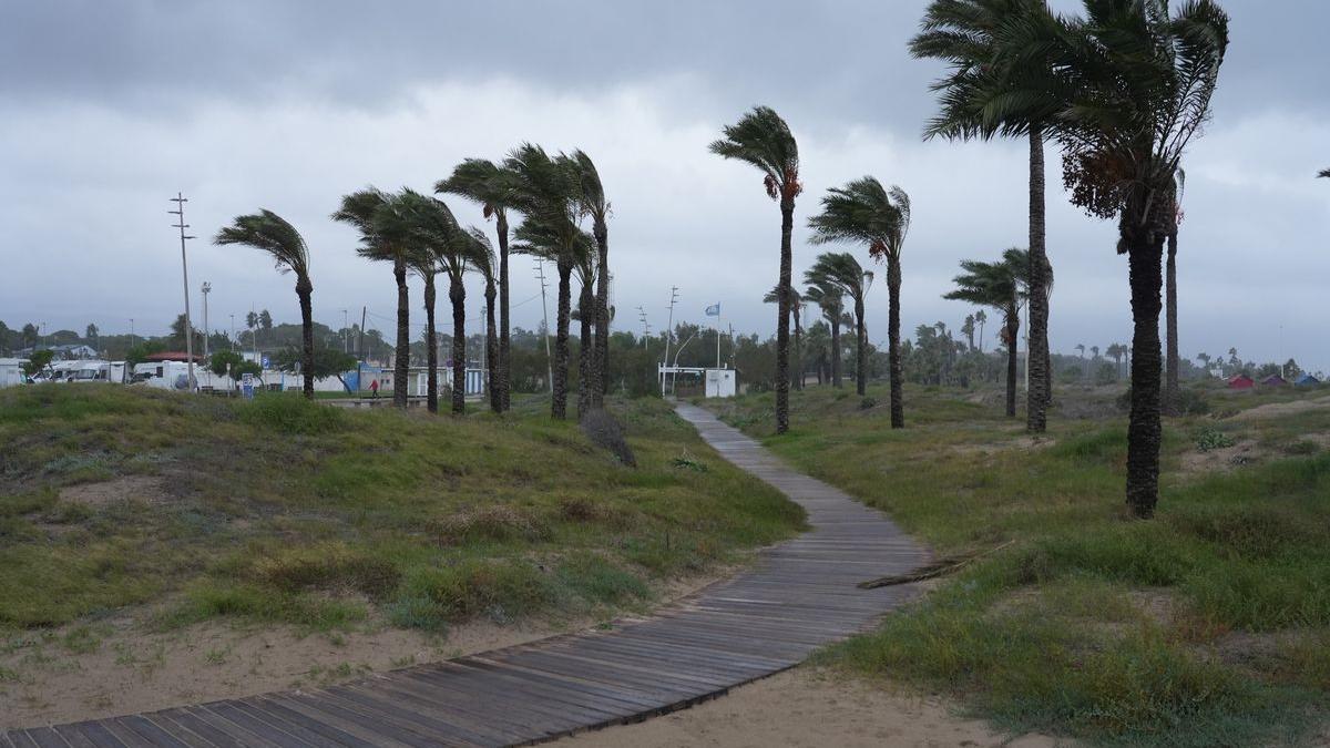 Efectos del fuerte viento en Castellón, en una imagen de archivo.