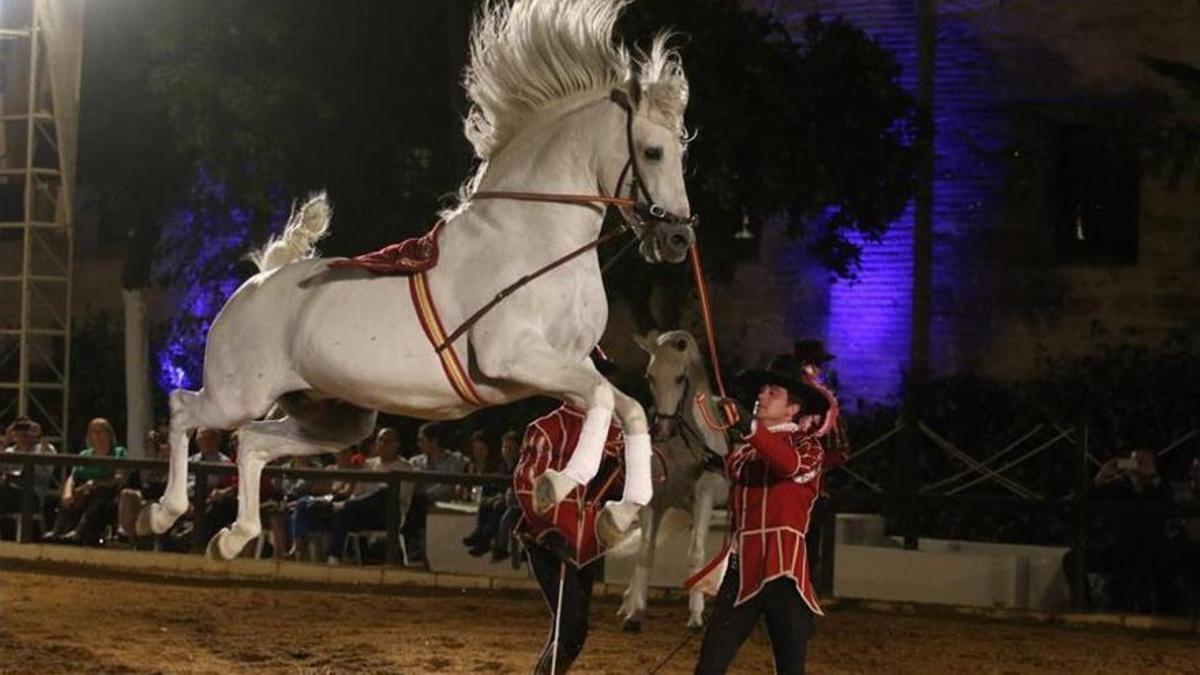 Un momento del espectáculo de Córdoba Ecuestre, en una imagen de archivo.