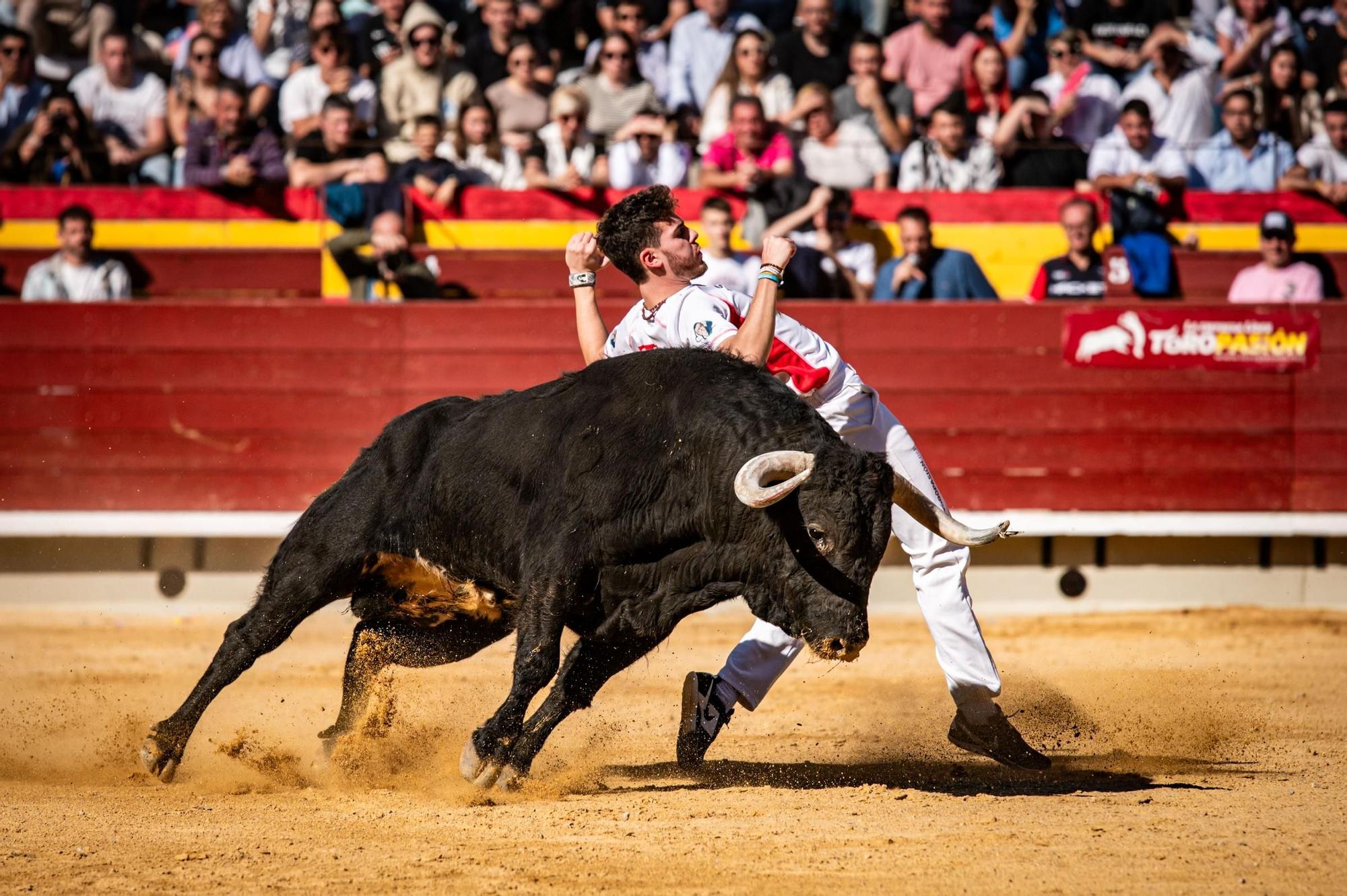 Así ha sido la gran final del campeonato de recortadores