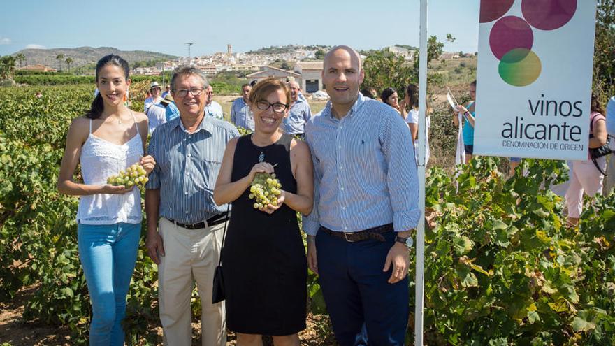 Alejandra Quereda (izq.) cortó los primeros racimos de Moscatel.