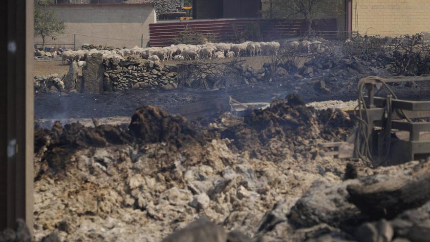Llamada a los 68 municipios de Zamora con alto riesgo de incendios: colaboración para crear planes "eficaces"