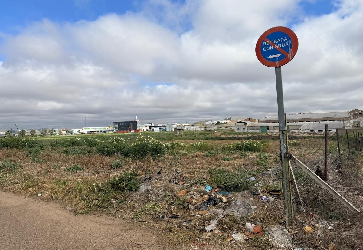Una parcela todavía por desbrozar próxima a la calle Bolivia y a la carretera de Badajoz.