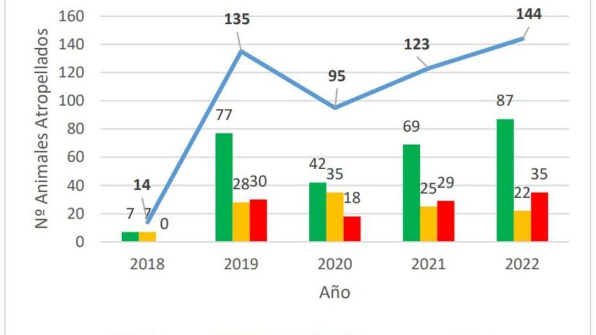 Ciervo, corzo y jabalí, especies con más atropellos. | Proyecto
