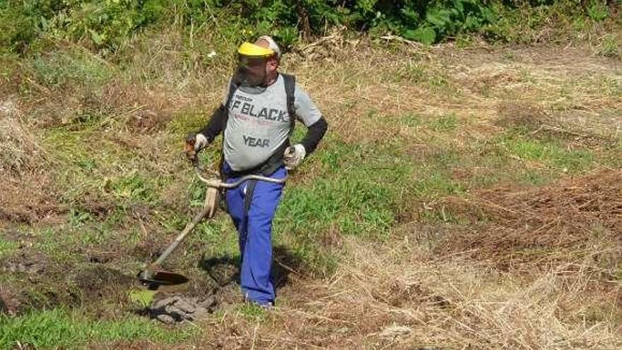 Un hombre realiza tareas de desbroce en una finca.