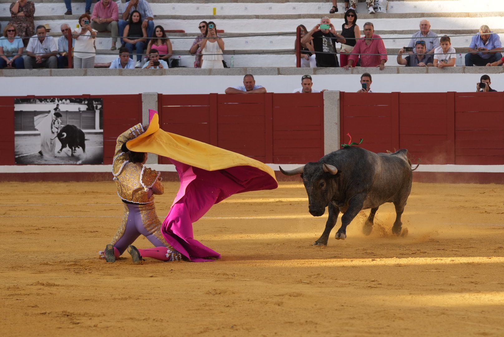 Compromiso torero frente a un gran encierro de Adolfo en Pozoblanco