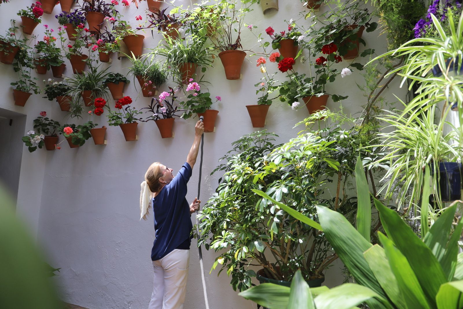 La Ruta 4 de los Patios de Córdoba, en imágenes