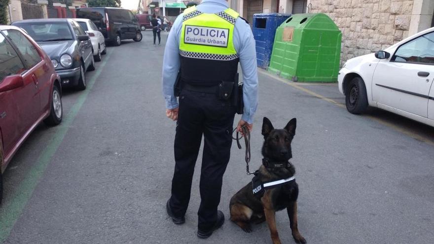 Un agent amb el gos policia, durant l&#039;operatiu a Figueres.