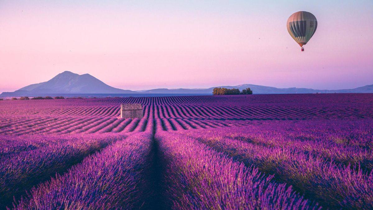 Ganas de primavera: cinco destinos en España en los que explota la floración