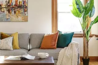 Una usuaria de TikTok da el truco definitivo para limpiar y quitar los malos olores del sofá