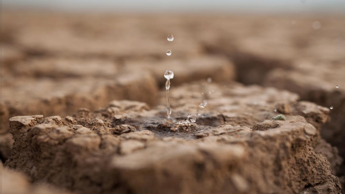 Los países se alían para tomar medidas contra el cambio climático.