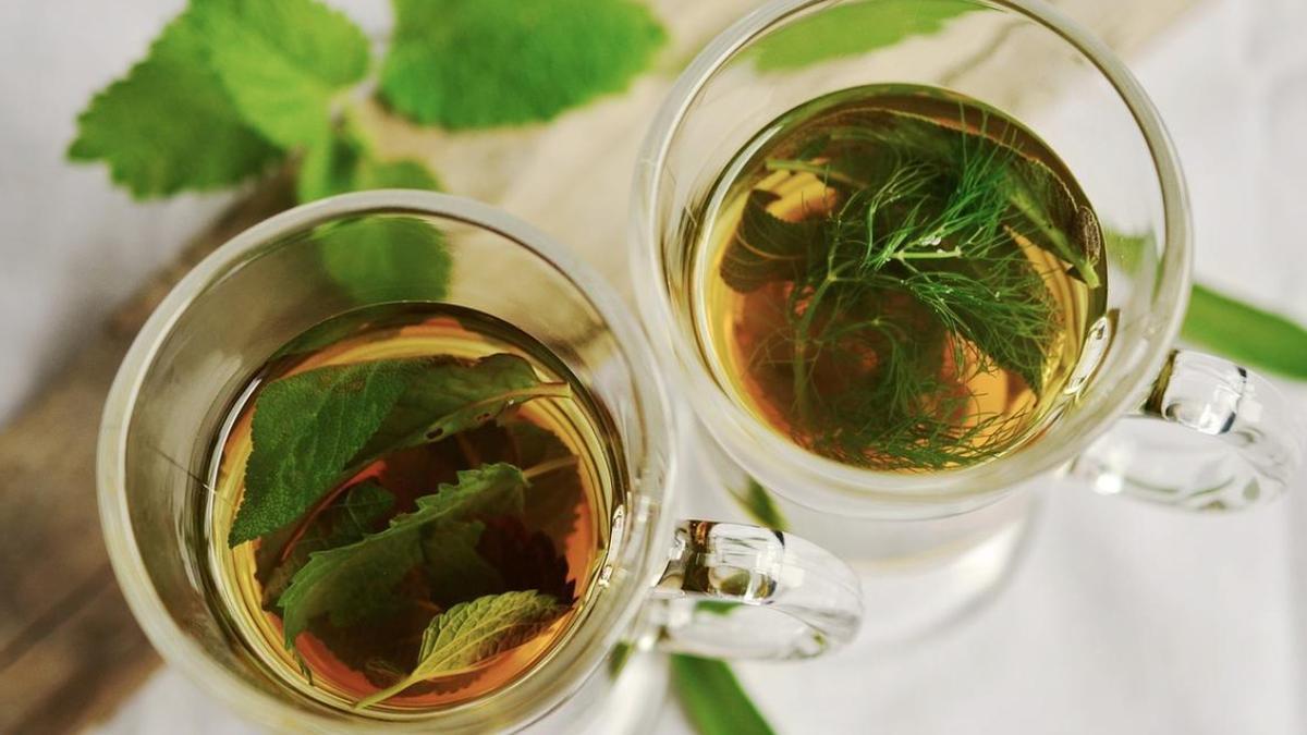 El té verde, con sus propiedades quemadoras de grasa y sus beneficios para la salud, puede ser una herramienta poderosa en tu arsenal de pérdida de peso.