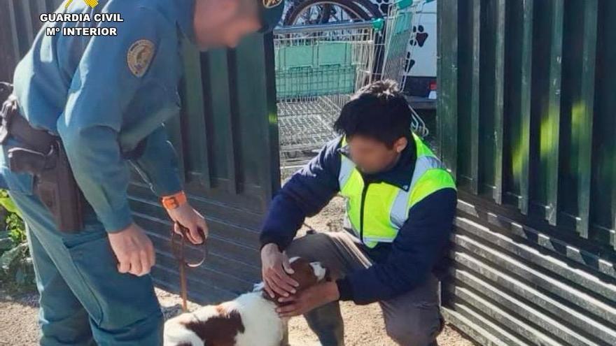 Investigado por abandonar a un perro y fingir que estaba muerto en Casar de Cáceres