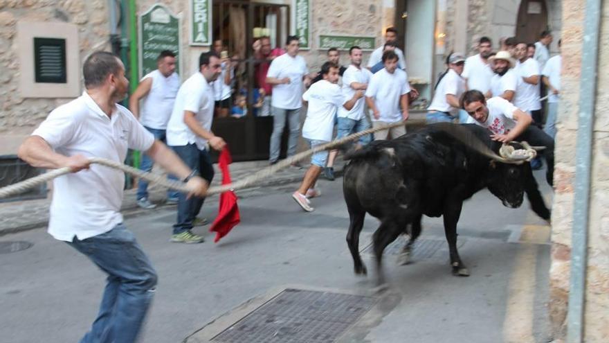 El correbou de Fornalutx, en el centro de la polémica.