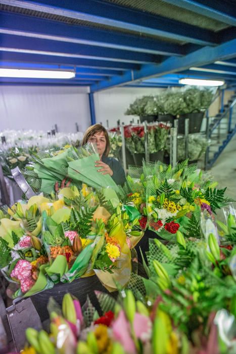 Un millón y medio de flores para el recuerdo