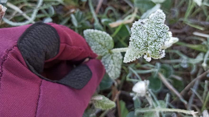 La Covatilla (Salamanca) anota la tercera temperatura más baja de todo el país