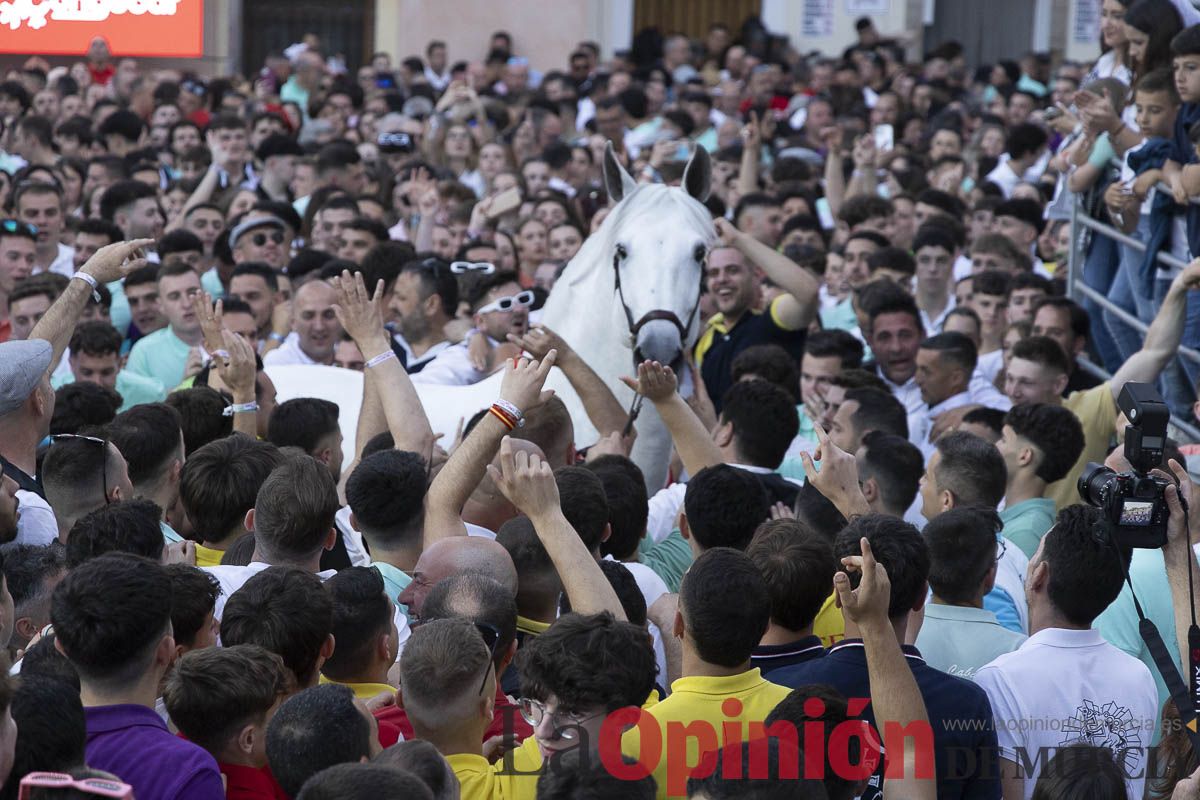 Fiestas de Caravaca | Entrega de premios del concurso morfológico