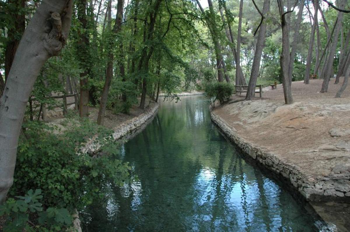Espacio natural del Parque Municipal de San Vicente de Llíria.