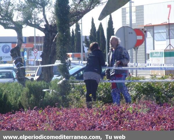 Galería de fotos: Cae la estatua de Ripolles