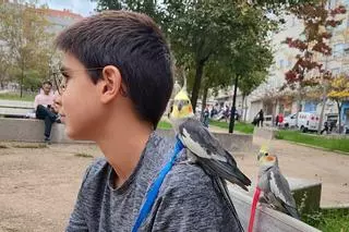 Un niño vigués de 12 años busca desesperado a dos ninfas que se escaparon de su casa en A Miñoca