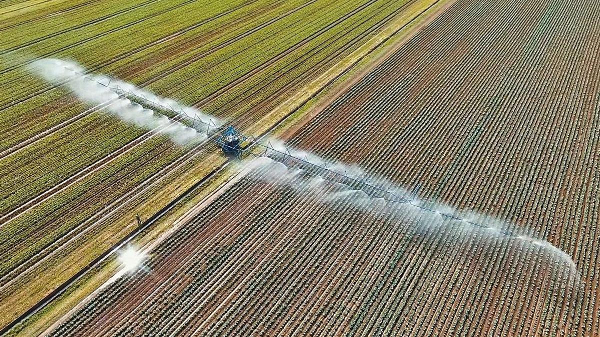 Riego de una explotación agrícola andaluza.