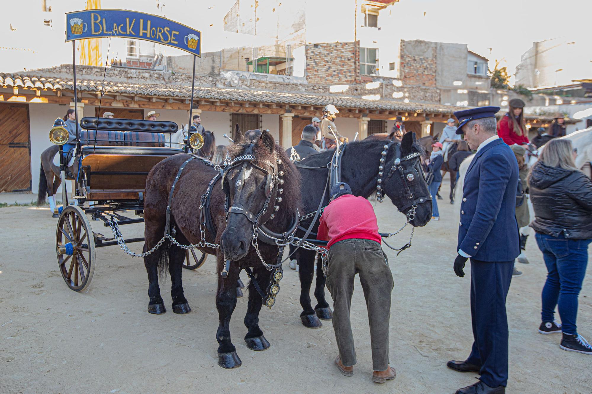 Concurso ecuestre y Bendición de animales por San Antón en Alicante