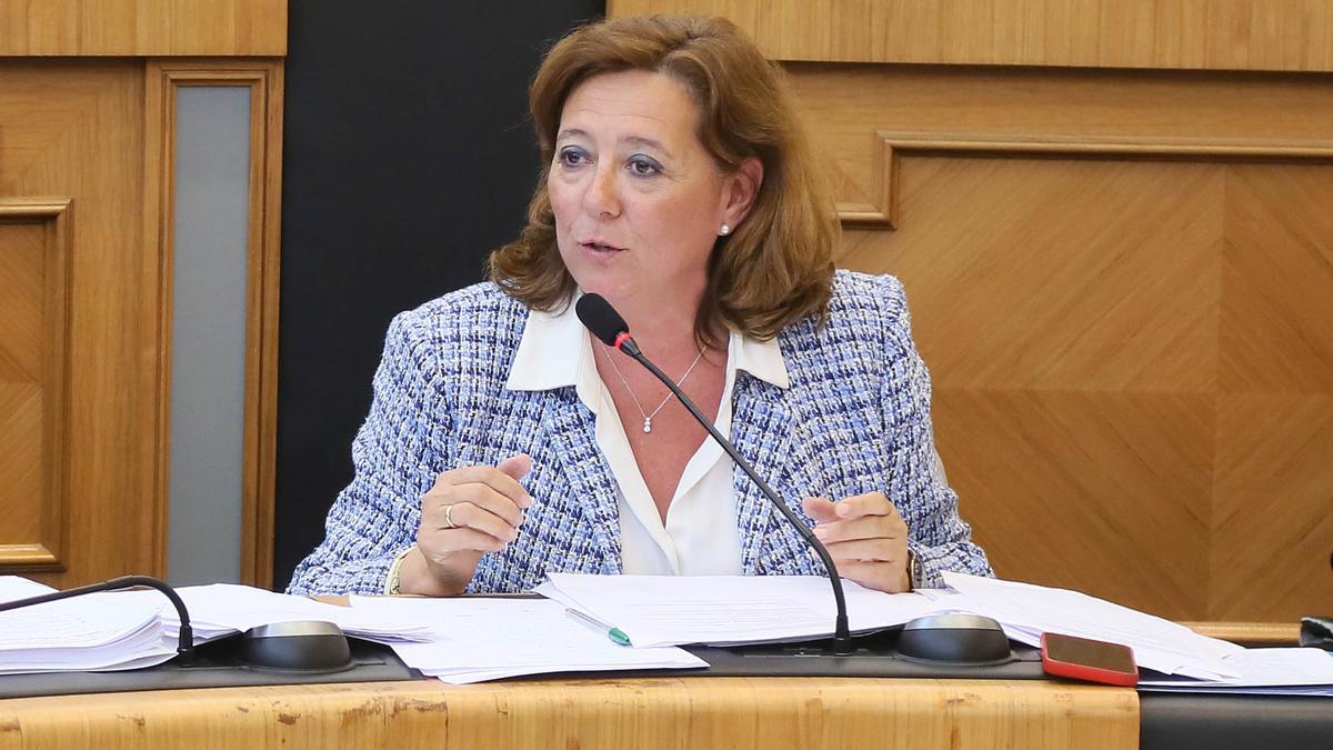 La diputada provincial de Proyectos Europeos, María Gómez.
