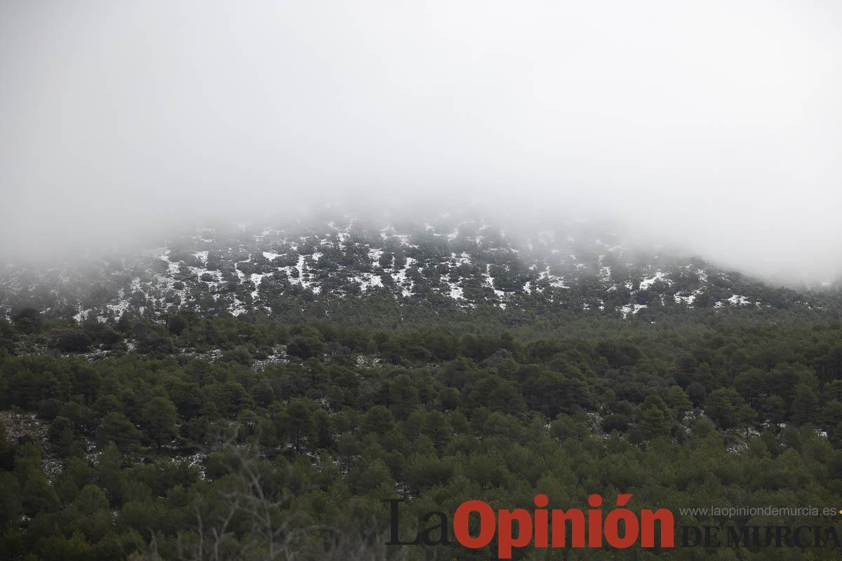 Nieve en las proximidades de Revolcadores en Moratalla
