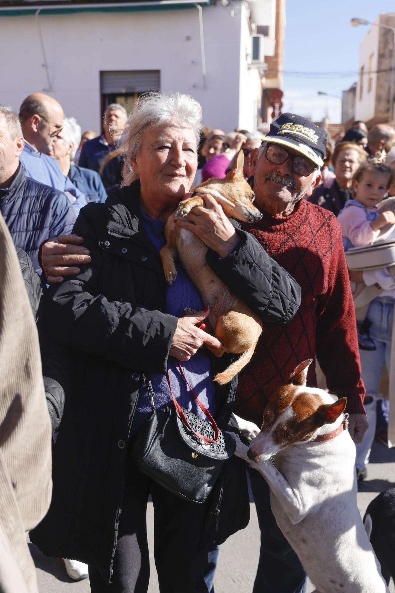 FOTOS: los mejores momentos de la bendición de animales por San Antón en Cartagena
