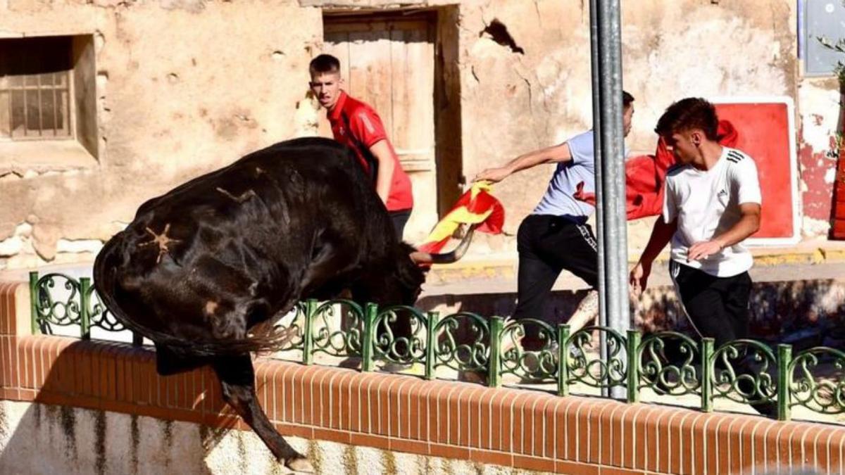 Las vacas volvieron a correr por las calles del municipio. |   